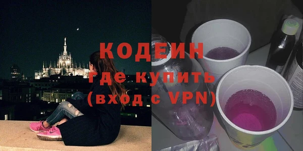 прущие грибы Няндома