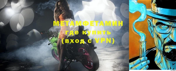 прущие грибы Няндома