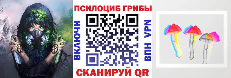 где продают наркотики  Россошь  Псилоцибиновые грибы Cubensis 