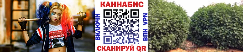 Бошки Шишки THC 21%  Россошь 