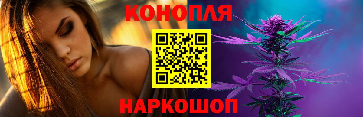 Каннабис сатива Россошь